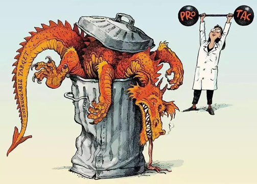 聚焦PROTAC：Make“Undruggable”TargetsDrugable