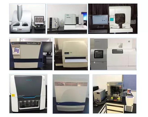 K8官网生物技术药物分析部门拥有SpectraMaxM4/M5/i3x, MSD, Luminex, Biacore 8K, Envision, Gyrolab，ABI7500 qPCR等全方位多功能的技术平台，利用LIMS系统实施全面的实验室信息化管理，给予全面符合FDA/CFDA/OECD GLP规范要求的生物技术药物分析服务。