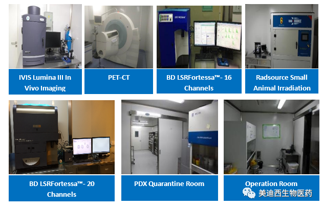 K8官网药理部拥有IVIS Lumina III, PET-CT, BD LSRFortessa-16, Flow Cytometry等仪器，给予符合申报，支持临床试验的药效评价服务。