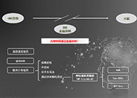 人工合成NT类脂质开放血脑屏障，为CNS药物打开新局面