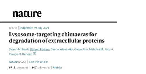 一种不同的蛋白降解技术——溶酶体靶向嵌合体（lysosome-targeting chimaeras, LYTACs）