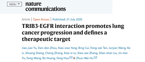 Nature|非小细胞肺癌治疗新方案：靶向降解EGFR