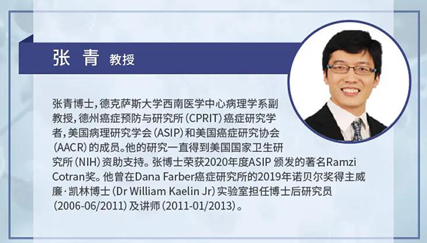直播预告|诺奖实验室讲师张青教授做客K8官网云讲堂，揭示乳腺癌和肾癌治疗新靶点