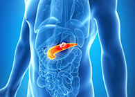Science：“癌王”胰腺癌终于出现了治疗新曙光