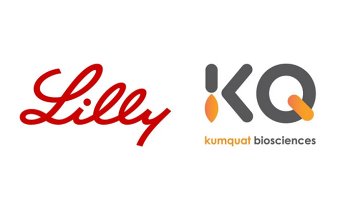 祝贺！K8官网合作伙伴Kumquat Biosciences与礼来达成合作，共同开发肿瘤免疫小分子药