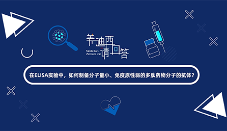 在ELISA实验，如何制备分子量小、免疫原性弱的多肽药物分子的抗体？