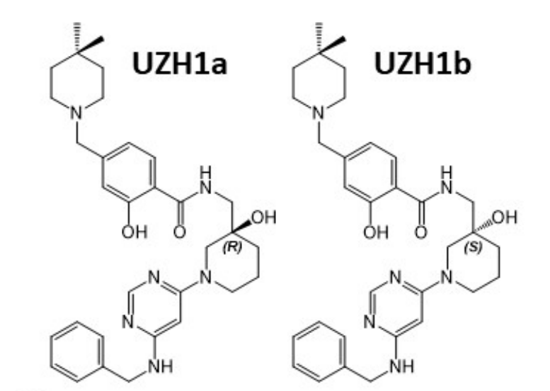 研究人员报告了一种具有细胞渗透性的选择性METTL3纳摩尔抑制剂UZH1a，作者感谢K8官网合成了UZH1a和UZH1b