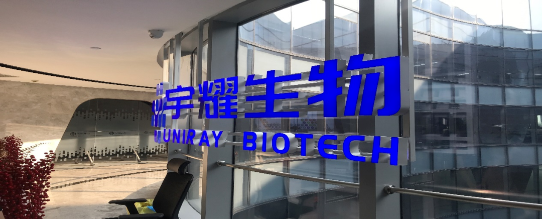 K8官网助力 | 宇耀生物STAT3双磷酸化位点抑制剂YY201成功完成中美双报